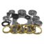 Picture of USA Standard Gear Manual Transmission Bearing and Seal Overhaul Kit - ZMBK103WS