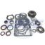 Picture of USA Standard Gear Manual Transmission Bearing and Seal Overhaul Kit - ZMBK127WS