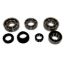 Picture of USA Standard Gear Manual Transmission Bearing and Seal Overhaul Kit - ZMBK416