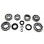 Picture of USA Standard Gear Manual Transmission Bearing and Seal Overhaul Kit - ZMBK499