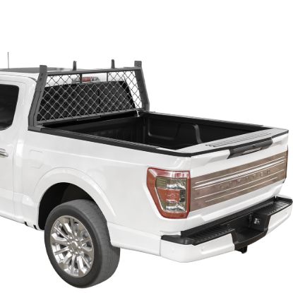 Picture of VANGUARD Roll Bar - VGHR-BEEE-BEEIBK