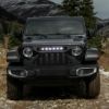 Picture of AMERICAN MODIFIED Grille - AMJPCA00117