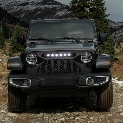 Picture of AMERICAN MODIFIED Grille - AMJPCA00117