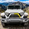 Picture of AMERICAN MODIFIED Grille - AMJPCA00142