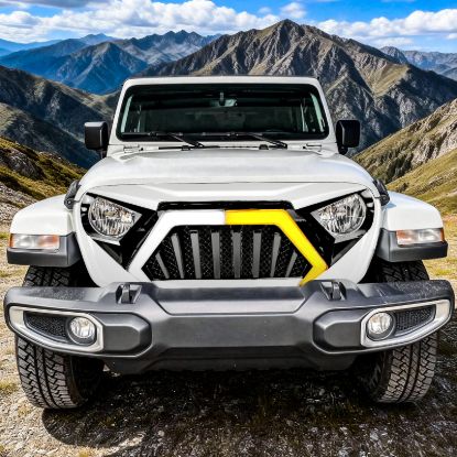 Picture of AMERICAN MODIFIED Grille - AMJPCA00142
