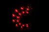 Picture of ANZO USA Tail Light Set - 311060