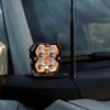 Picture of Baja Designs Auxiliary Light - 44-0088