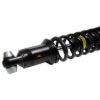 Picture of Bilstein Suspension Shock Absorber and Coil Spring Assembly - 41-314326
