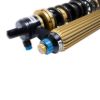 Picture of Bilstein Suspension Shock Absorber and Coil Spring Assembly - 41-338834