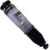 Picture of Bilstein Air Suspension Strut - 44-262242