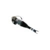 Picture of Bilstein Air Suspension Strut - 45-242007
