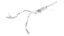 Picture of Borla Exhaust System Kit - 140341