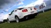 Picture of Borla Exhaust Pipe - 60517
