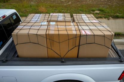 Picture of Bull Ring USA Cargo Net - N1020