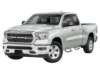 Picture of Carr Truck Cab Side Step - 124032-1