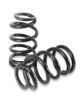 Picture of Detroit Speed - Archived Coilover Spring and Shock Assembly - 031133PDS