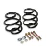 Picture of Detroit Speed - Archived Coil Spring - 041817PDS