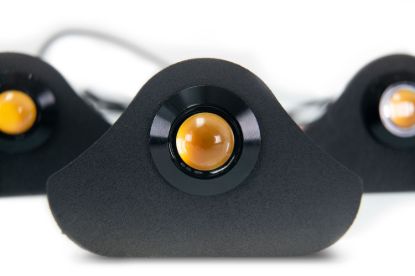 Picture of DV8 Offroad Back Up / Side Marker Light Assembly - GRJL-02