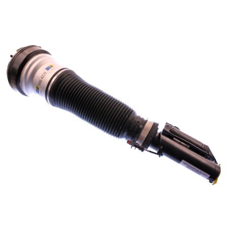 Picture for category Air Suspension Strut