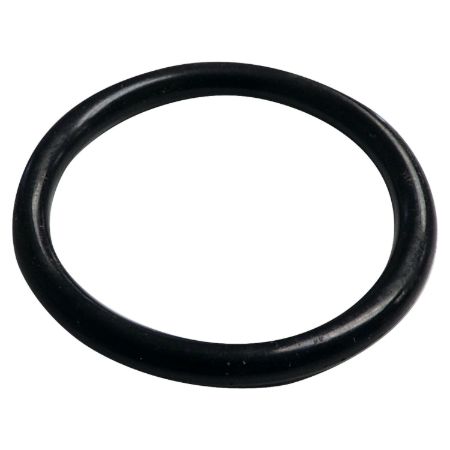 Picture for category Engine Coolant Water Inlet Seal