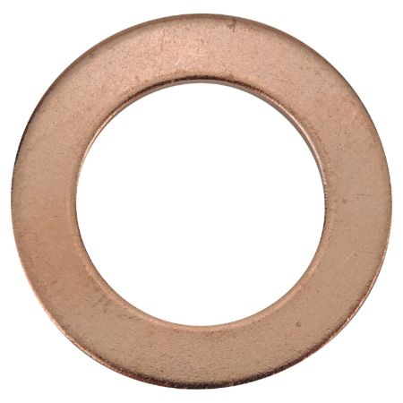 Picture for category Brake Master Cylinder Washer