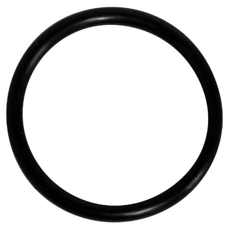Picture for category PCV Valve O-Ring