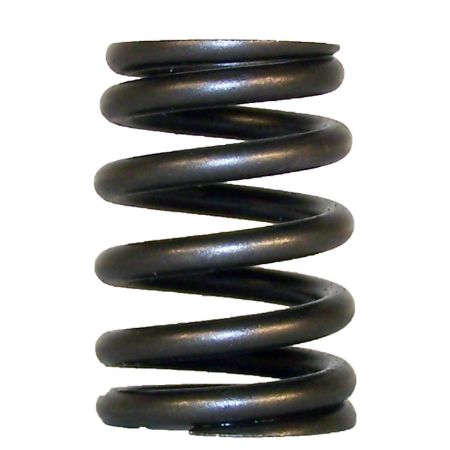 Picture for category Engine Valve Spring