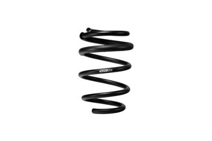 Picture of Eibach Coil Spring Lowering Kit - E10-35-029-10-22