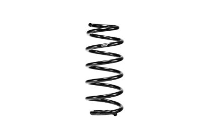 Picture of Eibach Coil Spring Lowering Kit - E10-51-025-02-22