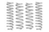 Picture of Eibach Suspension Lift Kit - E80-51-025-02-22