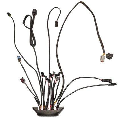 Picture of FiTech Fuel Injection Fuel Injection Electronic Control Unit - 30012-1