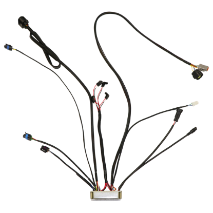 Picture of FiTech Fuel Injection Fuel Injection Electronic Control Unit - 39001-1