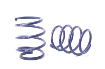 Picture of H&R Special Springs LP Coil Spring Lowering Kit - 29255-3