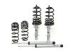 Picture of H&R Special Springs LP Coil Spring Lowering Kit / Shock Absorber Kit - 31017-1