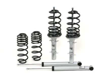 Picture of H&R Special Springs LP Coil Spring Lowering Kit / Shock Absorber Kit - 31017-1