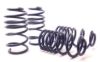 Picture of H&R Special Springs LP Coil Spring Lowering Kit - 50786-2