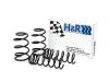 Picture of H&R Special Springs LP Coil Spring Lowering Kit - 51643