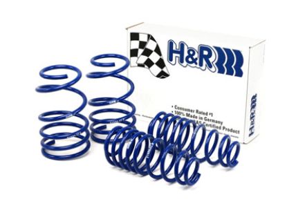 Picture of H&R Special Springs LP Coil Spring Lowering Kit - 51655-77