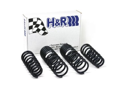 Picture of H&R Special Springs LP Coil Spring Lowering Kit - 51808