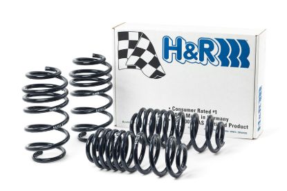 Picture of H&R Special Springs LP Coil Spring Lowering Kit - 54753