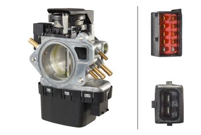 Picture of Hella Electronic Throttle Body Module - 007623191