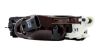 Picture of Hella Fog Light - 007646011