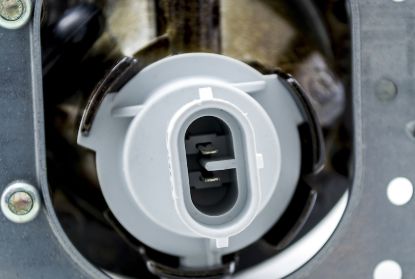 Picture of Hella Fog Light - 009295081