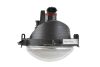 Picture of Hella Fog Light - 011748021