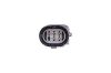 Picture of Hella Tail Light Assembly - 015386581