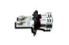 Picture of Hella Fog Light Bulb - 226971521