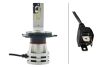 Picture of Hella Fog Light Bulb - 226971521