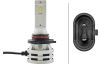 Picture of Hella Fog Light Bulb - 226971561