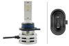 Picture of Hella Fog Light Bulb - 226971571