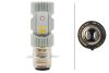 Picture of Hella Fog Light Bulb - 226971581